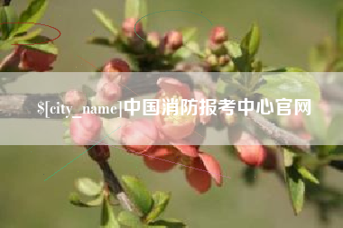 宁阳中国消防报考中心官网