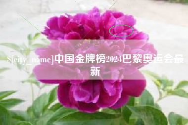 宁阳中国金牌榜2024巴黎奥运会最新