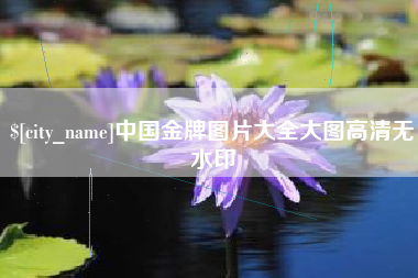 宁阳中国金牌图片大全大图高清无水印