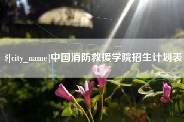 宁阳中国消防救援学院招生计划表