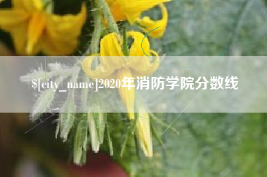 宁阳2020年消防学院分数线