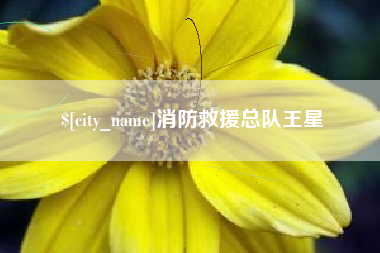 宁阳消防救援总队王星