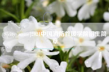 宁阳2021中国消防救援学院招生简章