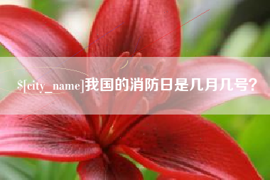 宁阳我国的消防日是几月几号？