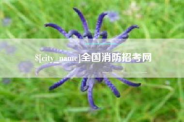 宁阳全国消防招考网