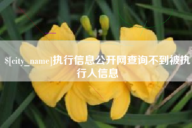 宁阳执行信息公开网查询不到被执行人信息