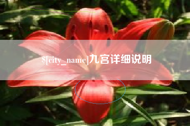 宁阳九宫详细说明