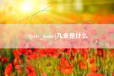 宁阳九金是什么