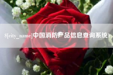 宁阳中国消防产品信息查询系统1