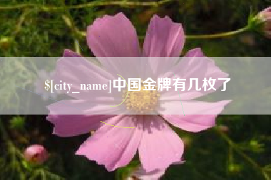 宁阳中国金牌有几枚了