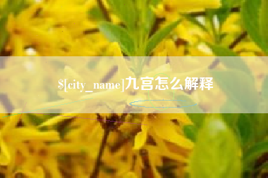 宁阳九宫怎么解释