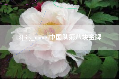 宁阳中国队第八块金牌