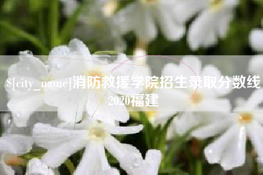 宁阳消防救援学院招生录取分数线2020福建