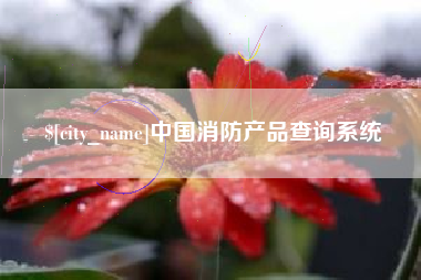 宁阳中国消防产品查询系统