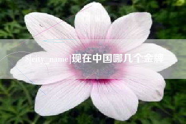 宁阳现在中国哪几个金牌