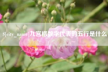 宁阳九宫格数字代表的五行是什么