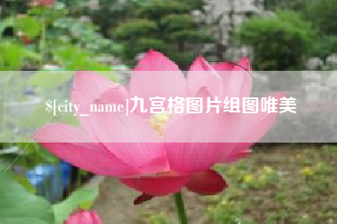 宁阳九宫格图片组图唯美