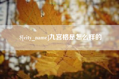 宁阳九宫格是怎么样的
