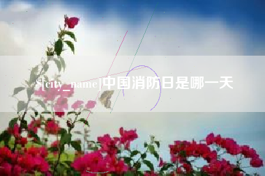 宁阳中国消防日是哪一天