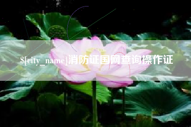 宁阳消防证国网查询操作证