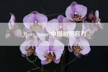 宁阳中国消防官方