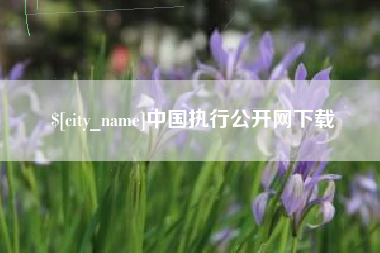 宁阳中国执行公开网下载