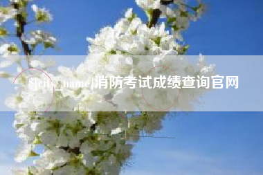 宁阳消防考试成绩查询官网