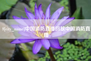 宁阳中国消防直播回放中国消防直播
