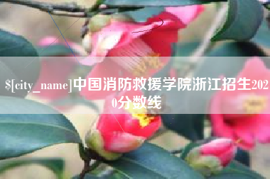 宁阳中国消防救援学院浙江招生2020分数线