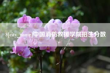 宁阳中国消防救援学院招生分数