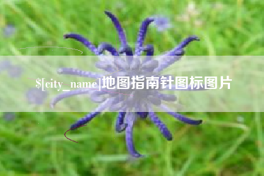 宁阳地图指南针图标图片