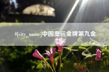 宁阳中国奥运金牌第九金