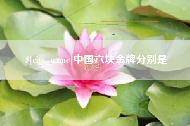 宁阳中国六块金牌分别是