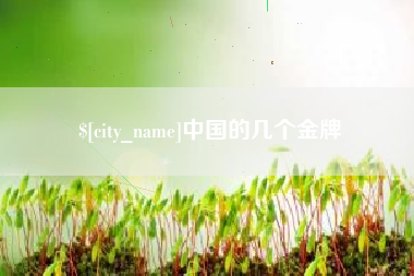 宁阳中国的几个金牌