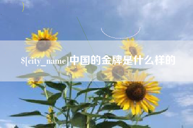宁阳中国的金牌是什么样的
