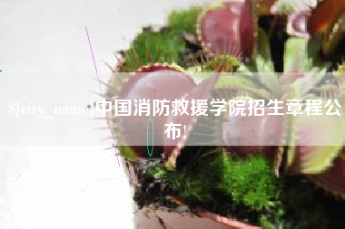 宁阳中国消防救援学院招生章程公布!