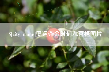 宁阳奥运夺金时刻九宫格图片