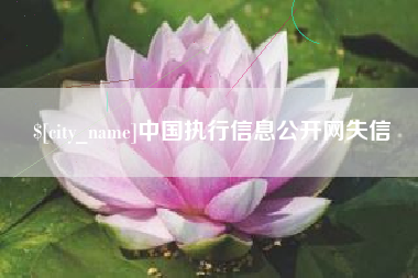 宁阳中国执行信息公开网失信