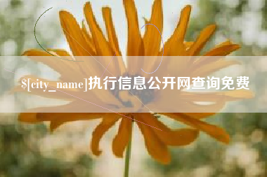 宁阳执行信息公开网查询免费
