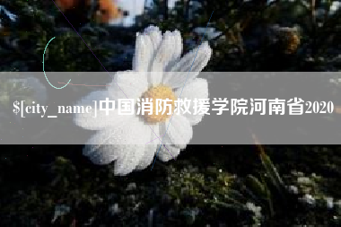 宁阳中国消防救援学院河南省2020